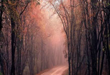 林高远3-1逆转格罗特！连丢4个赛点有惊无险，开局状态比较慢热.