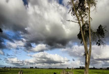 K1体育：韩国-约旦遭遇连平，孙兴慜助攻李在城破门，马尔迪扳平.