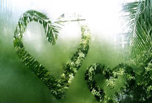 斯洛特：我对阿诺德的表现满意，基耶萨迈出了重要一步.